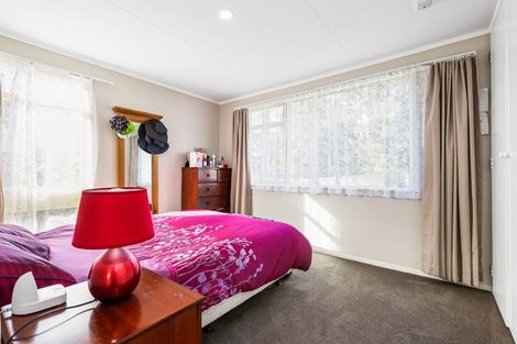 Photo of property in 22 Emerald Place, Chartwell, Hamilton, 3210