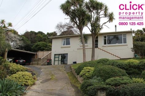 Photo of property in 104 Easther Crescent, Kew, Dunedin, 9012