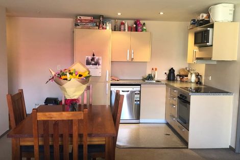 Photo of property in Dual Apartments, 410/142u Vivian Street, Te Aro, Wellington, 6011