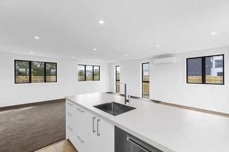 Photo of property in 444 Tremaine Avenue, Takaro, Palmerston North, 4410
