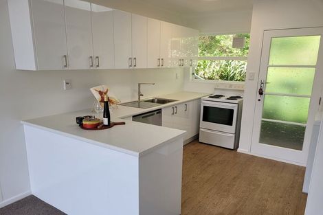 Photo of property in 22f2 Mccoll Street, Vogeltown, Wellington, 6021