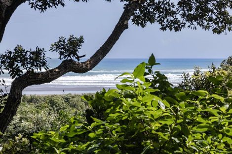 Photo of property in 59 North Piha Road, Piha, 0772