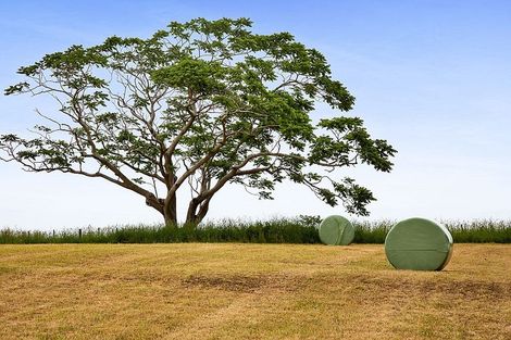 Photo of property in 242 Turuturu Road, Hawera, 4674