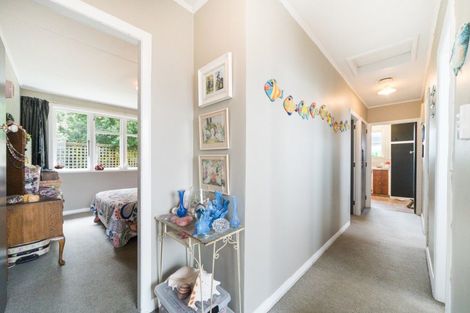 Photo of property in 114 Stanford Street North, Ashhurst, 4810