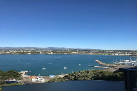 Photo of property in 55 Overtoun Terrace, Hataitai, Wellington, 6021