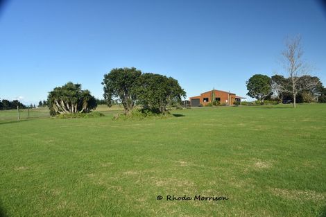 Photo of property in 986 Tinopai Road, Tinopai, Matakohe, 0593