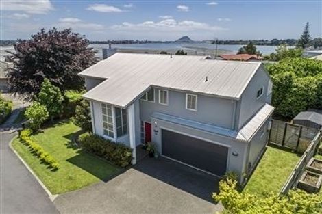 Photo of property in 334b Maungatapu Road, Maungatapu, Tauranga, 3112