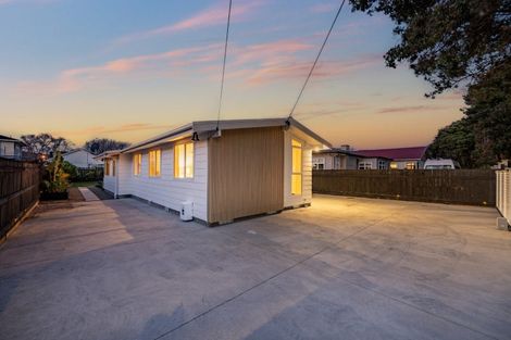 Photo of property in 41 Lincoln Avenue, Epuni, Lower Hutt, 5011