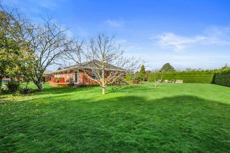 Photo of property in 91 Te Whanga Road, Levin, 5572