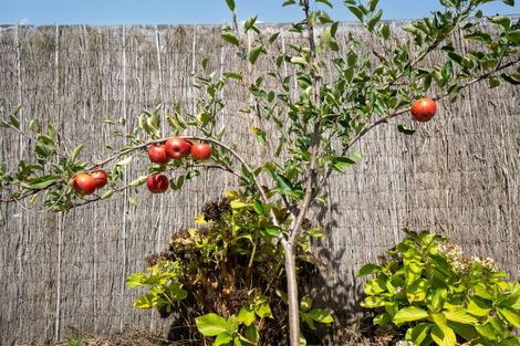 Photo of property in 3d Alpers Ridge, Leamington, Cambridge, 3432