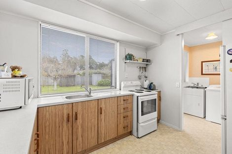 Photo of property in 41 Armagh Terrace, Marton, 4710