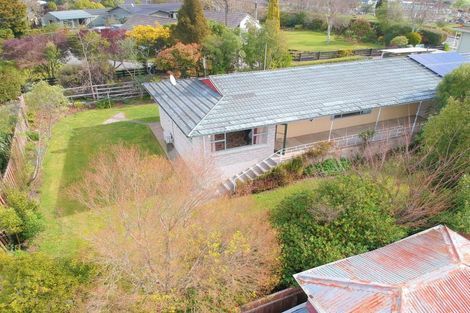 Photo of property in 131b Porangahau Road, Waipukurau, 4200