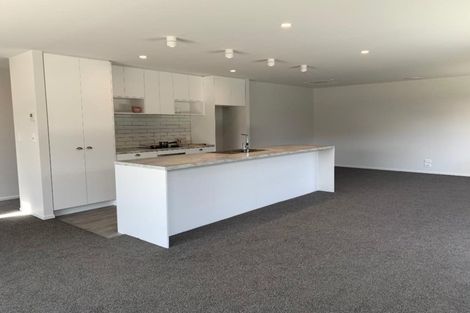 Photo of property in 20 Headley Drive, Lower Shotover, Queenstown, 9304