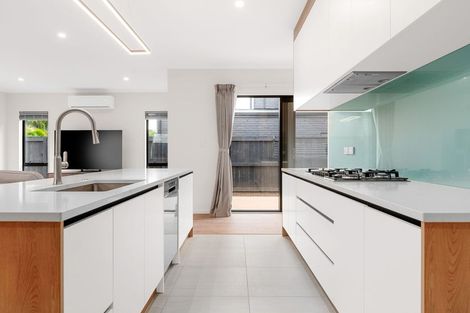 Photo of property in 19 Musselwhite Terrace, Chartwell, Hamilton, 3210