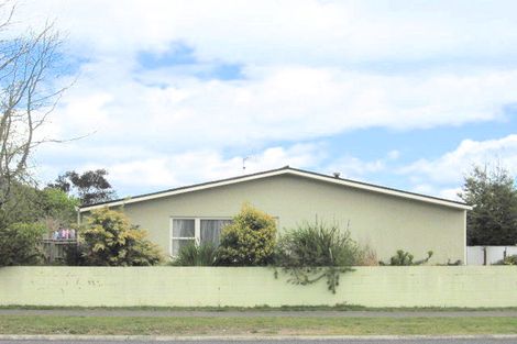 Photo of property in 169 Tamamutu Street, Taupo, 3330