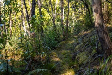 Photo of property in 180 Tokongawa Drive, Kaiteriteri, Motueka, 7197