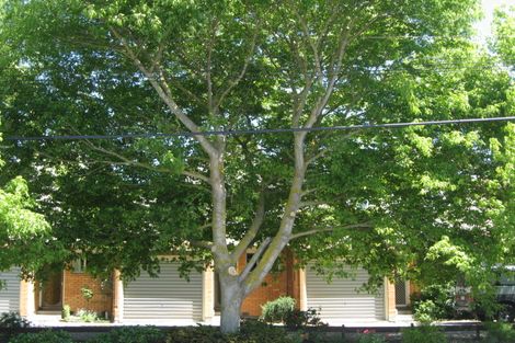 Photo of property in 3/59 Vogel Street, Richmond, Christchurch, 8013