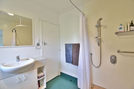 Photo of property in 157 Norwood Street, Normanby, Dunedin, 9010