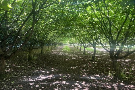 Photo of property in 459 Flora East, Makarewa, Invercargill, 9876