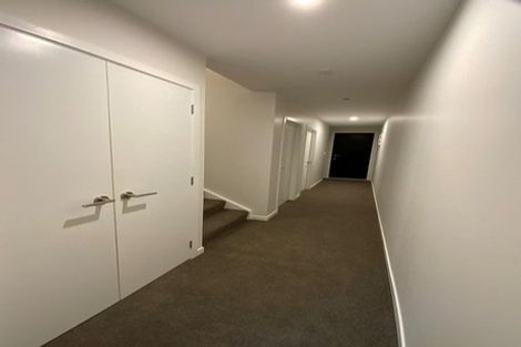 Photo of property in 229u1 Aro Street, Aro Valley, Wellington, 6021