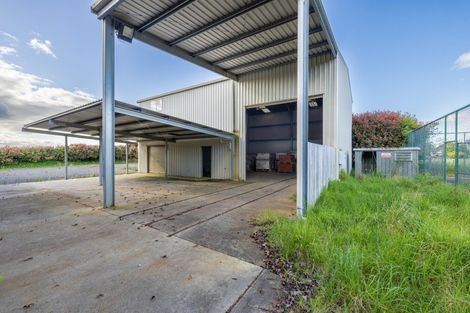 Photo of property in 11r Carmichael Road, Bethlehem, Tauranga, 3110