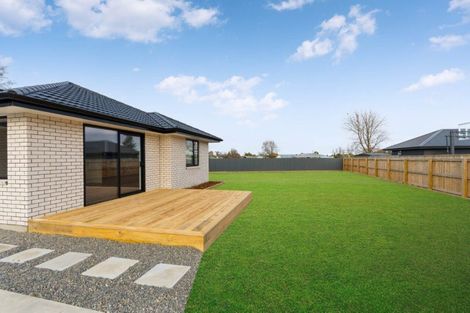 Photo of property in 5 Market Street, Lansdowne, Masterton, 5810