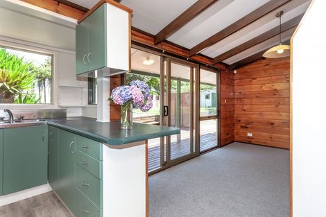 Photo of property in 125 Hays Place, Thames, 3500