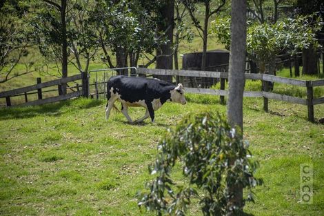 Photo of property in 589 Inland Road, Helensville, 0875