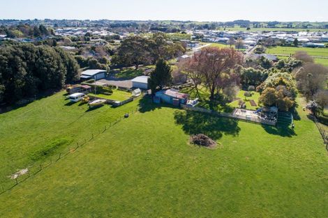 Photo of property in 36 Arnott Street, Feilding, 4702