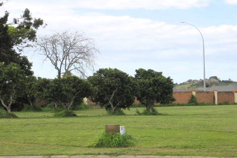 Photo of property in 14 Allington Place, Bethlehem, Tauranga, 3110