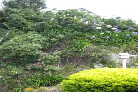 Photo of property in 159 Te Anau Road, Hataitai, Wellington, 6021