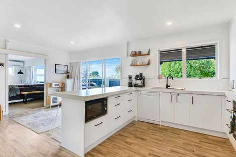 Photo of property in 80 Newcastle Road, Dinsdale, Hamilton, 3204