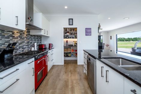 Photo of property in 33 Spencer Lane, Greytown, 5712