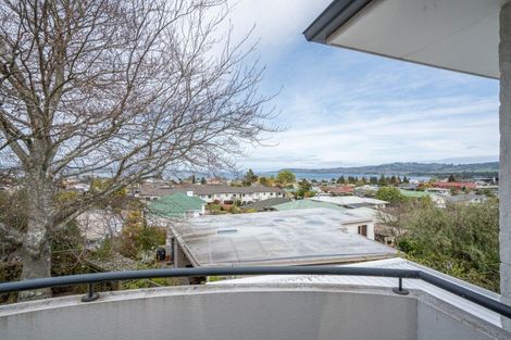Photo of property in 19 Wheretia Street, Taupo, 3330
