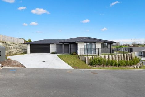 Photo of property in 123 Reservoir Street, Putaruru, 3411