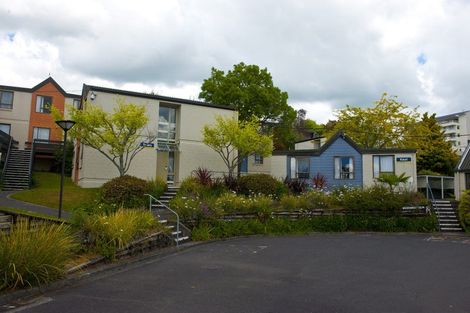 Photo of property in 181 Collingwood Street, Hamilton Lake, Hamilton, 3204