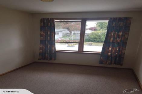 Photo of property in 54 Cleveland Street, Edgeware, Christchurch, 8013