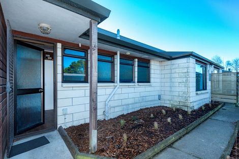 Photo of property in 61 Torrens Road, Hillmorton, Christchurch, 8024
