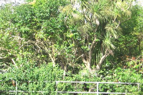 Photo of property in 198 Henderson Valley Road, Henderson, Auckland, 0612