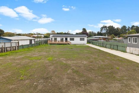 Photo of property in 120 Arapuni Street, Putaruru, 3411