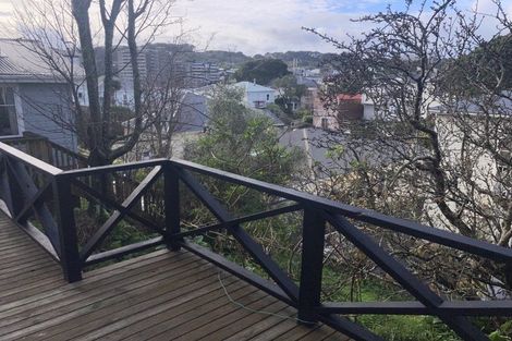 Photo of property in 311 Adelaide Road, Newtown, Wellington, 6021