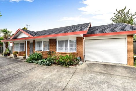 Photo of property in 14 Darley Street, Maeroa, Hamilton, 3200