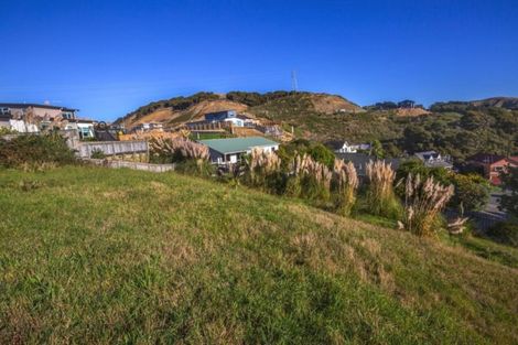 Photo of property in 17 Semaphore Lane, Whitby, Porirua, 5024
