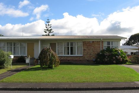 Photo of property in 20 Graham Avenue, Te Atatu Peninsula, Auckland, 0610