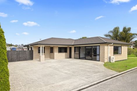 Photo of property in 13 Lieshout Way, Pukekohe, 2120