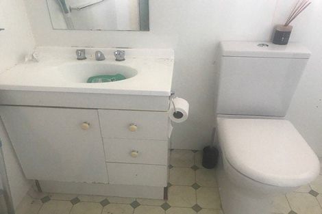 Photo of property in 11 Essex Street, Levin, 5510