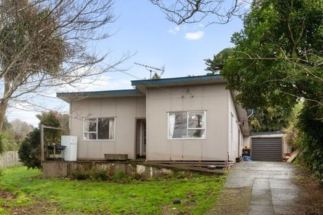 Photo of property in 94 Roberts Street, Waihi, 3610