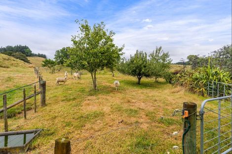Photo of property in 430 Echolands Road, Taumarunui, 3994