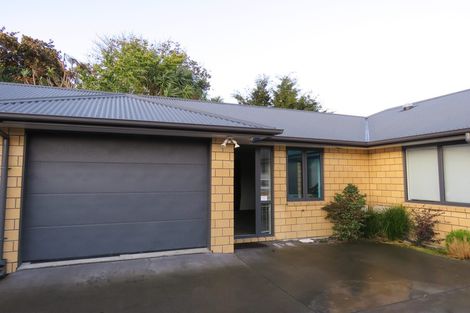 Photo of property in 21u4 Fifth Avenue, Enderley, Hamilton, 3214