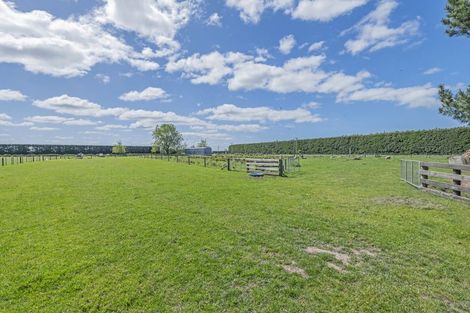 Photo of property in 253 Burts Road, Southbridge, 7682